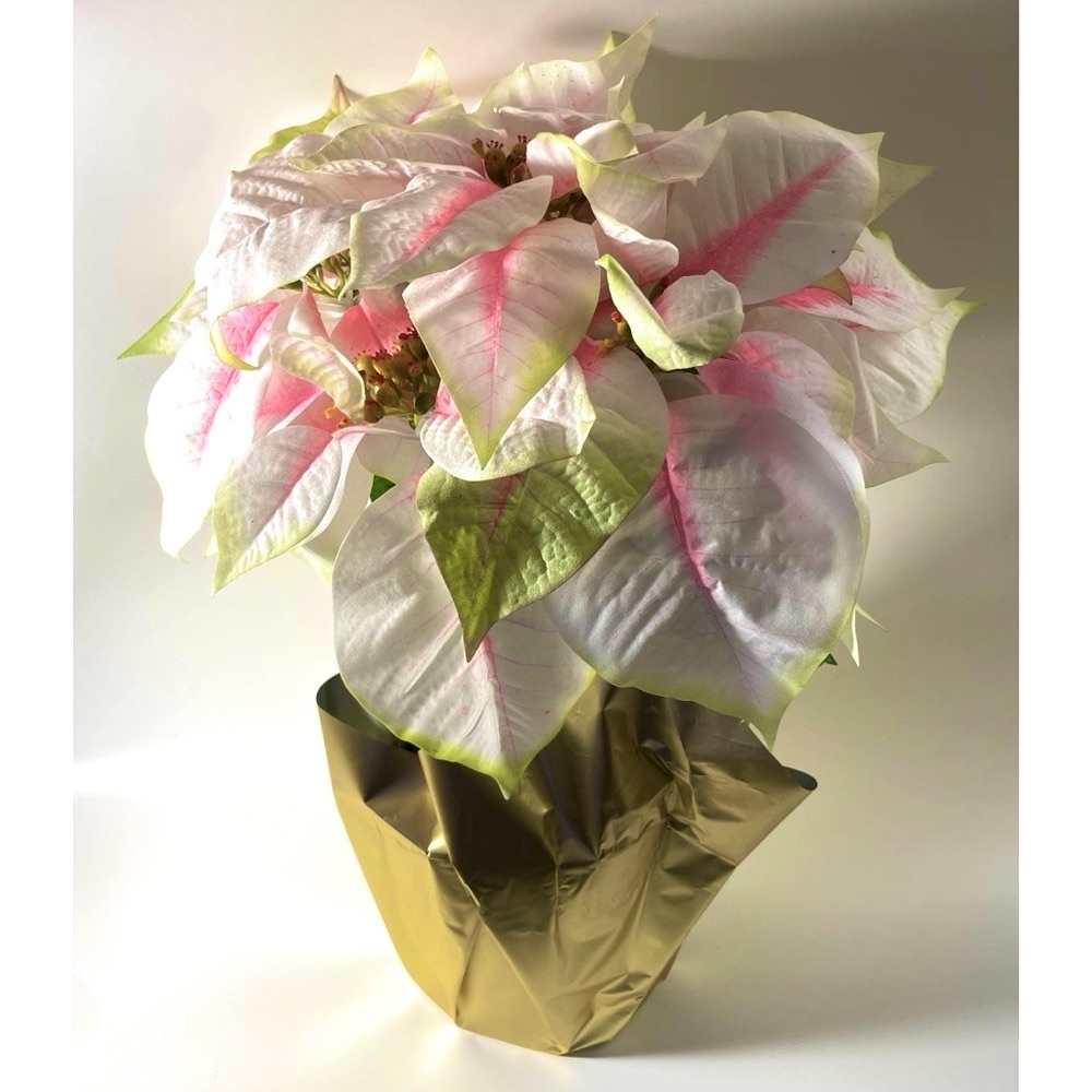 Michael’s Ashland Potted White-Pink Poinsettia Christmas Arrangement Gold Foil